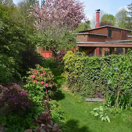 Ferienhaus Rotes Kreativ-ferienhaus Bad Lausick