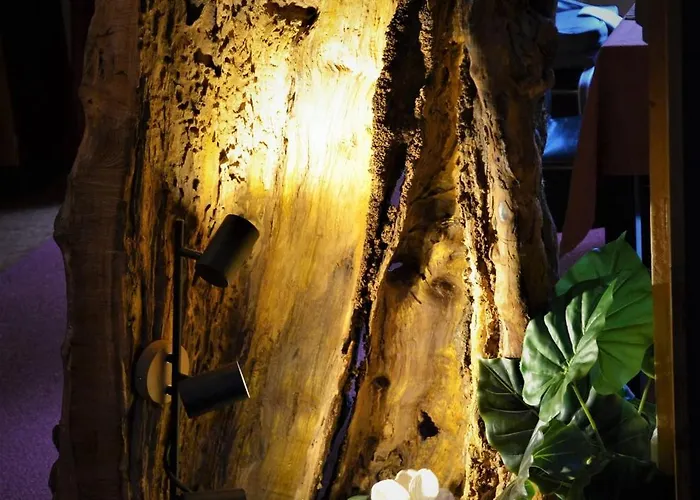 Rotes Kreativ-ferienhaus Tatil Evi